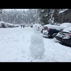 Meet your Posher, Ploypailin